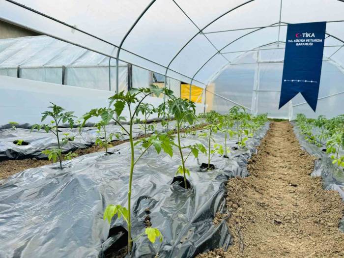 Tika’dan Bosna Hersek’te Kadın Çiftçilere Sera Desteği