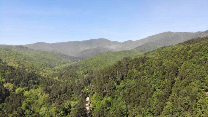 Çanakkale’de Ormanlık Alanlara Giriş Yasaklandı
