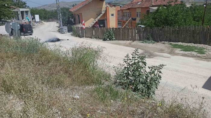 Malatya’da, Yol Tepkisi