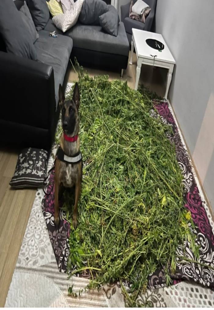 İzmir’de 10 Kilo Uyuşturucu Madde Ele Geçirildi