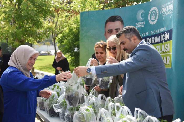 Yıldırım Belediyesi’nden 50 Bin Fide