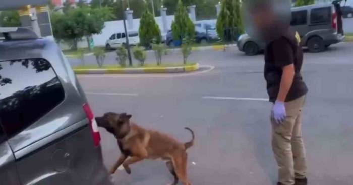 Batman’da Takibe Alınan Araçlarda 93 Kilo Esrar Ele Geçirildi