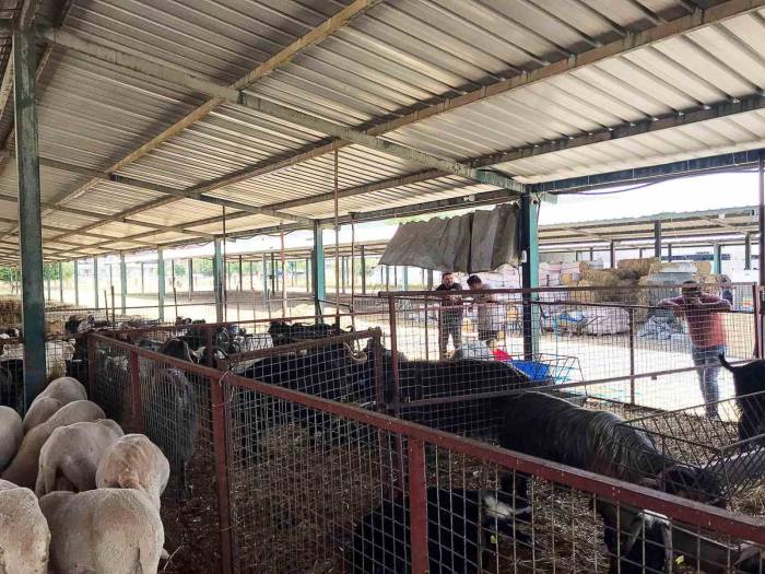 Ortaca’da Kurban Kesim Yerleri Kontrolden Geçti