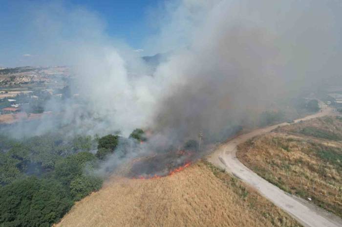 İncir Bahçesindeki Yangın Korkuya Neden Oldu