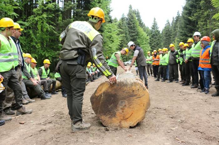 Kazasız Bir Yıl İçin Eğitimler Sürüyor