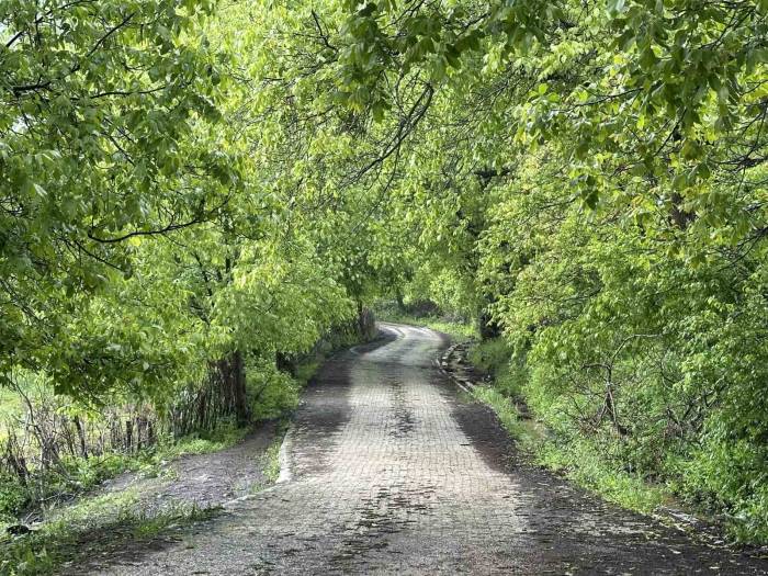 Şemdinli Yeşil Doğasıyla Karadeniz’i Aratmıyor