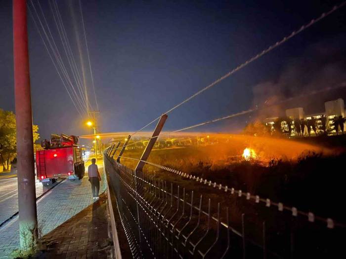 Alanya’da Şampiyonluk Kutlamasında Boş Araziye Atılan Meşale Yangın Çıkardı
