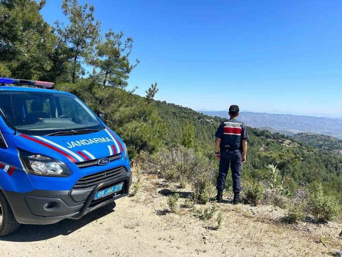 Aydın’da Orman Yangınlarına Karşı Yoğun Tedbirler Alınıyor