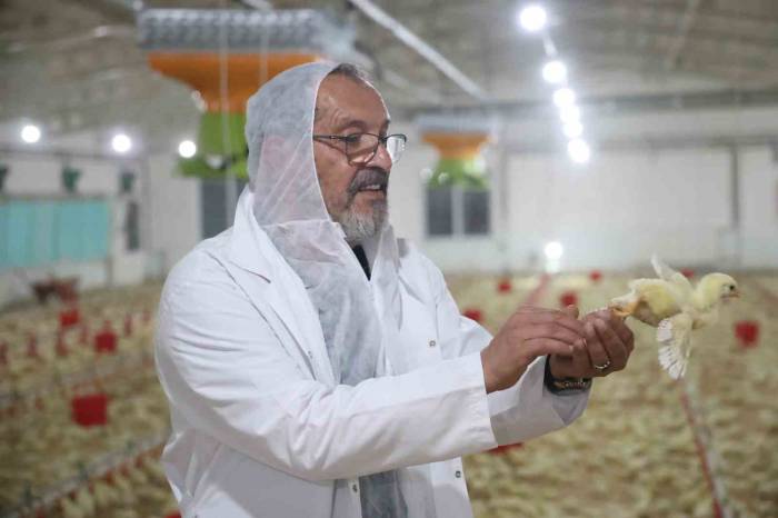 25 Yıl Basın Sektörüne Hizmet Etti, Devletten Aldığı Destek İle Çiftlik Kurdu