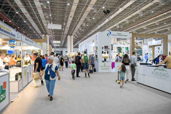 "Erken Hasatta Zeytinyağı Daha Acı Ve Yakıcı Olabilir"