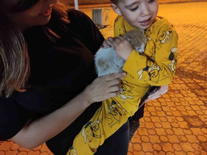 Aracın Motoruna Giren Kedi Yavrusu Jandarma Tarafından Çıkarıldı