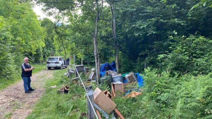 Elektrikli Çitleri Aşarak Kovalarını Parçalayan Ayıya "Helal Olsun" Dedi