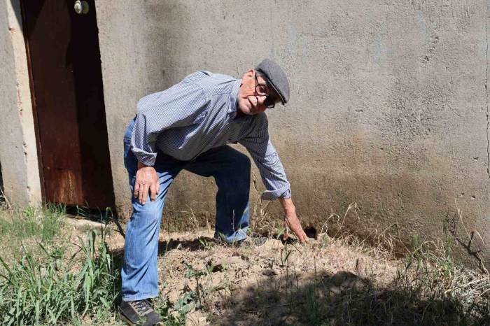 Defineciler, Yaşar Dede’nin Uykularını Kaçırdı