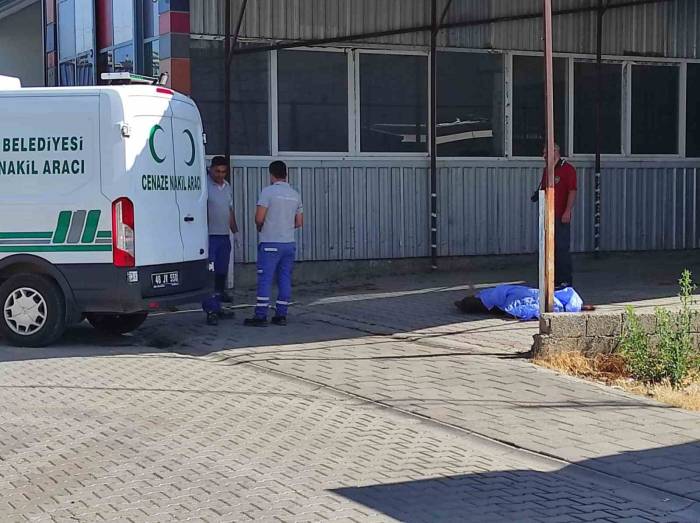 Sabah İşe Gelen Esnaf Buldu