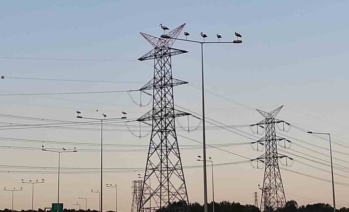 Leylek Göçü Seferberliği