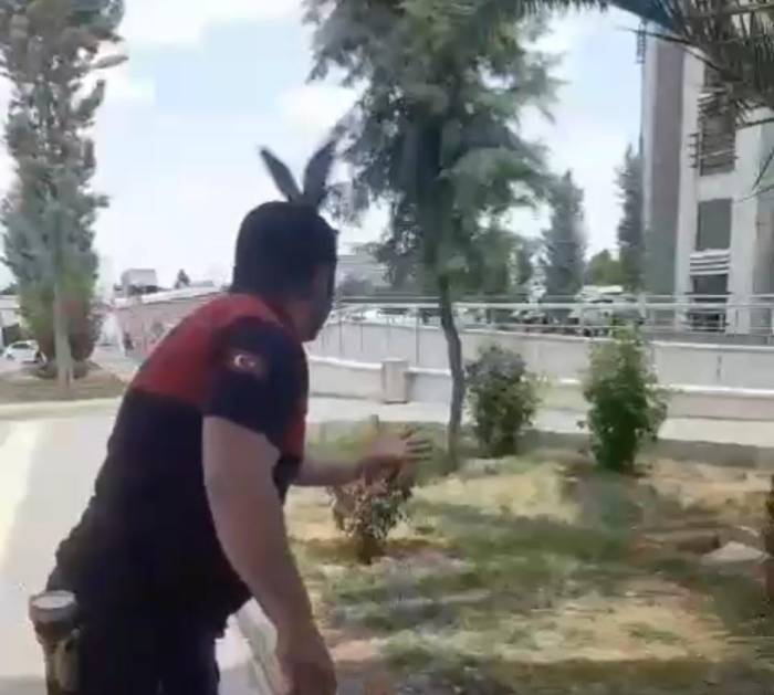 Şanlıurfa’da Demir Kolonda Mahsur Kalan Güvercin Kurtarıldı