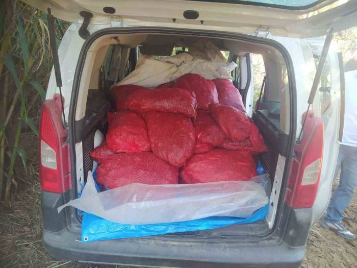 Bandırma’da Kaçak Midye Operasyonu: 79 Bin 500 Tl Ceza