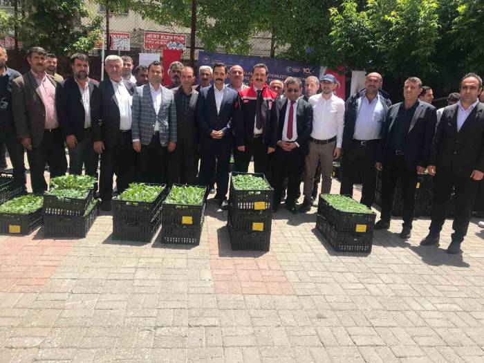 Güroymak’ta Yüzde 75 Hibeli 21 Bin Fide Dağıtıldı