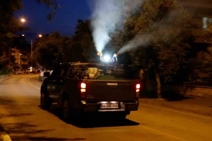 Efeler’de Gece İlaçlamaları Başladı