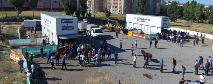 Büyükşehir Kurban Kesimi İçin Hazırlıklarını Tamamladı