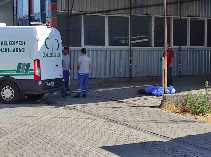 Fethiye’de Cesedi Bulunan Şahsın Arkadaşı Tutuklandı