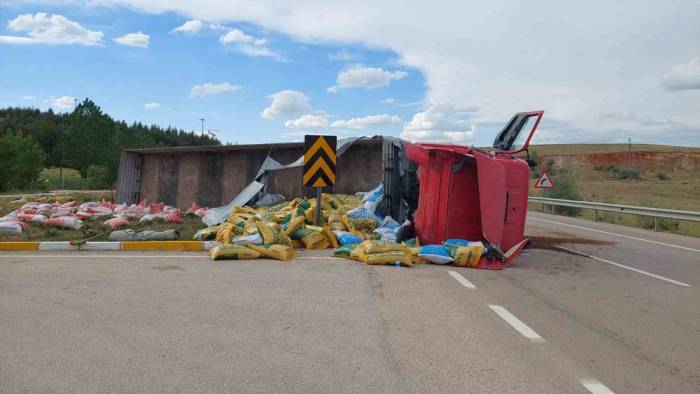 Kontrolden Çıkan Hayvan Yemi Yüklü Tır Devrildi