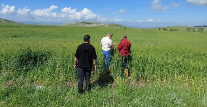 Dolu Ve Selden Etkilenen Köylerde Zarar Tespit Çalışması Başlatıldı