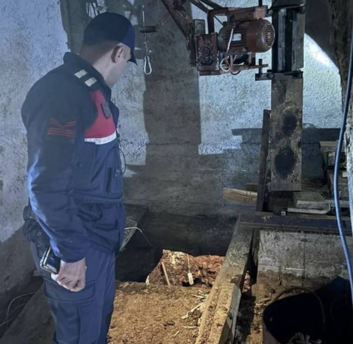 Define Avcıları Çukurda Böyle Yakalandı