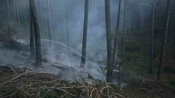 Menteşe’deki Orman Yangını Büyümeden Söndürüldü