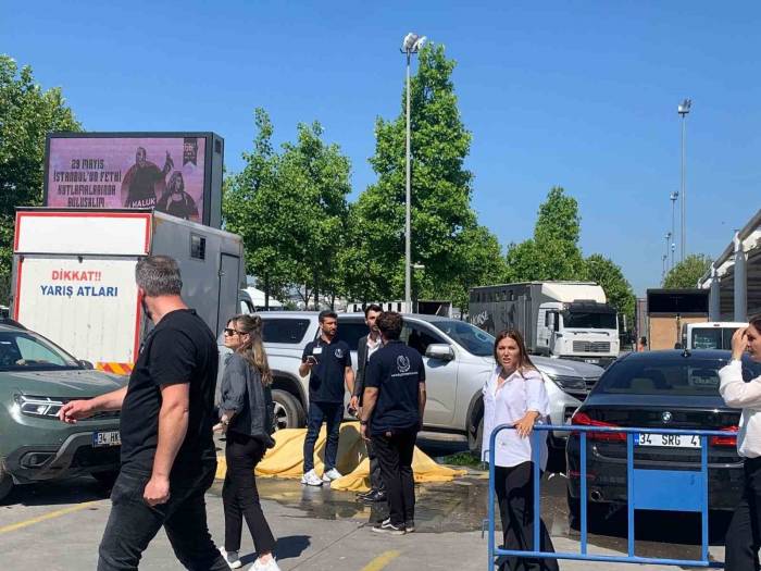 Güzellik Yarışmasında At Kalp Krizi Geçirerek Öldü