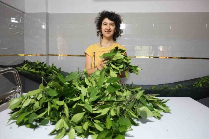 10 Yıllık Mesleğini Bırakan Kadın, Aldığı Devlet Desteğiyle Kendi İşinin Patronu Oldu