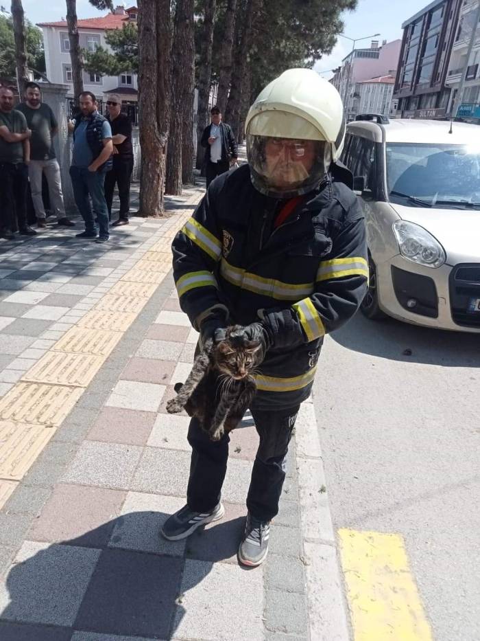 Tırmandığı Ağaçta Mahsur Kalan Kediyi İtfaiye Kurtardı
