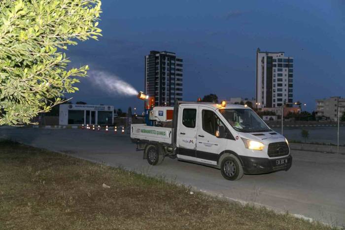 Mersin’de Haşere Ve Larva Gündüz, Uçkun İlaçlaması İse Gece Yapılıyor