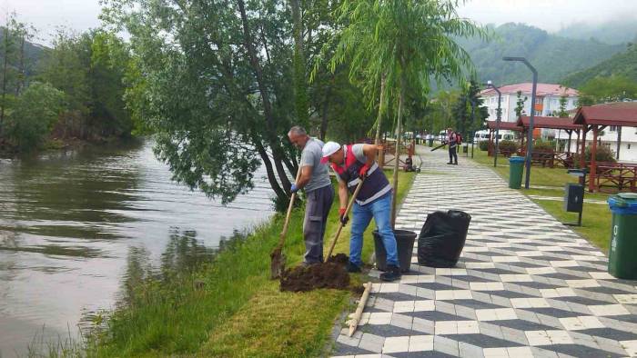 Turnasuyu Kordon Park’ta Yeşillendirme Çalışmaları Başlatıldı