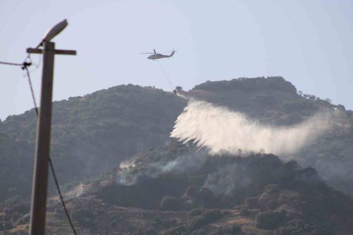 Kaynaktan Çıkan Kıvılcım 50 Dönüm Araziyi Yaktı