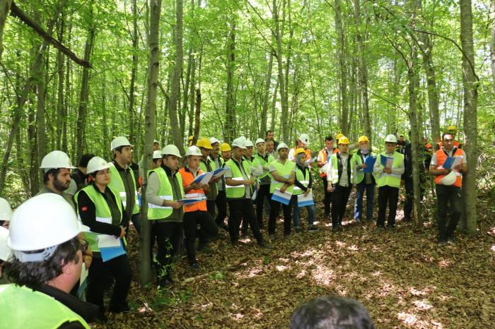 Ağaçlarda Gençlik Bakımı Anlatıldı