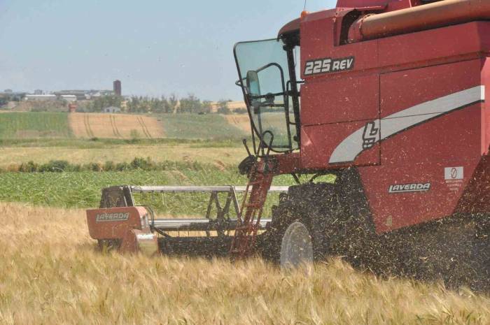 Edirne’de Arpa Hasadı Başladı