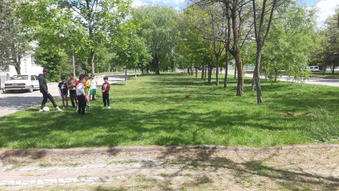 Başıboş Köpekler Sivas’ta Dehşet Saçtı