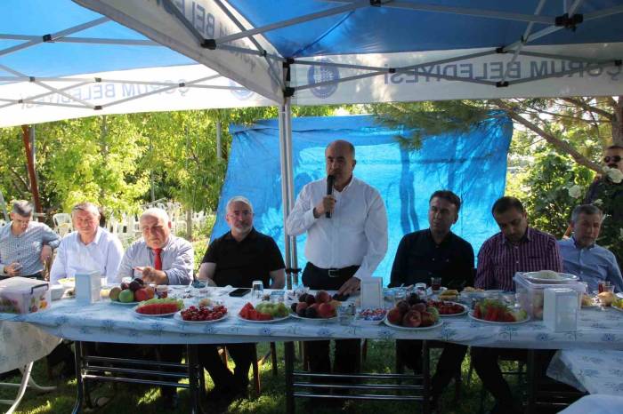 Ulu Çınarları Buluşturan Gelenek