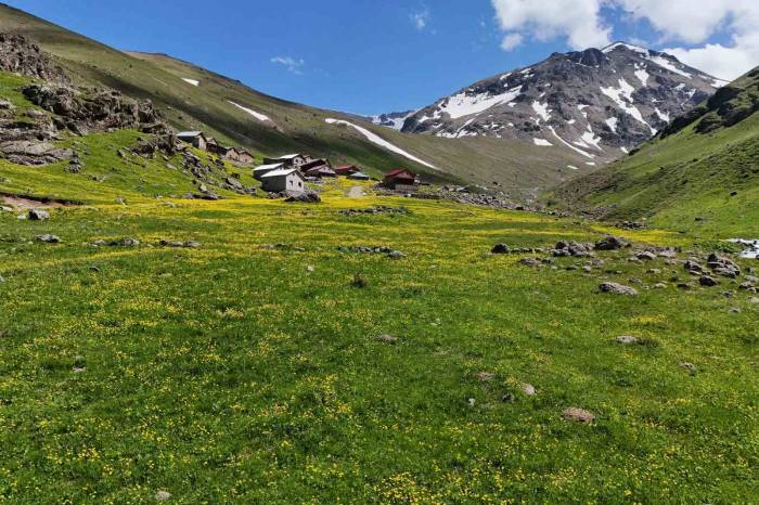 Dulağa Yaylası’nın Alpler’i Aratmayan Güzelliği