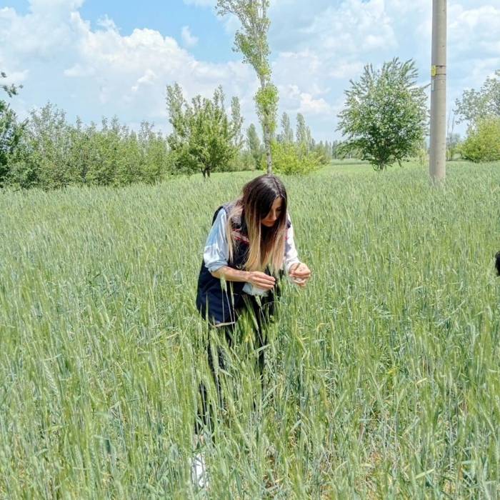 Ekili Tarım Alanlarında Kontroller Sürüyor