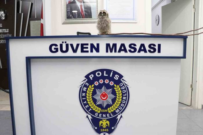 Yavru Puhuya Polisten “Güven” Mesajı