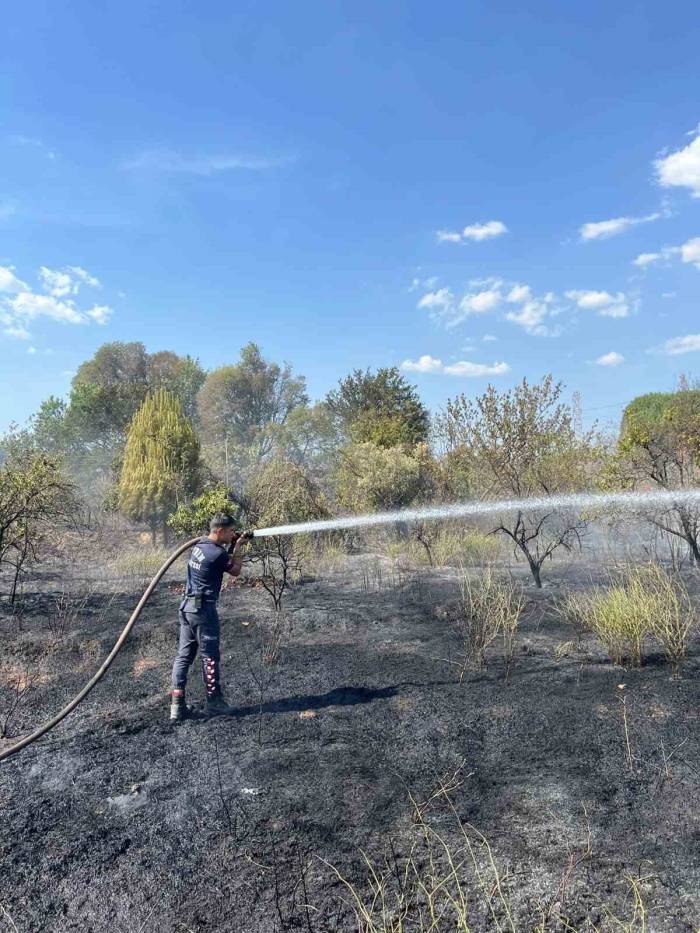 Aydın Büyükşehir Belediyesi İtfaiyesi’nden Hızlı Müdahale