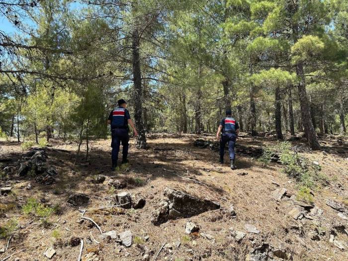 Jandarmadan ’orman Yangını’ Tedbiri