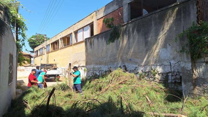 Efeler’de Elektrik Tellerine Temas Eden Ağaçlar Budandı