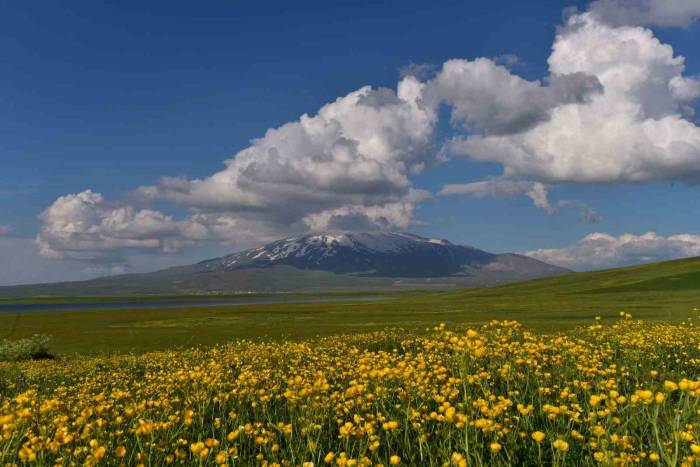 Sütey Yaylası Ve Süphan Dağı’ndan Hayranlık Uyandıran Görüntüler