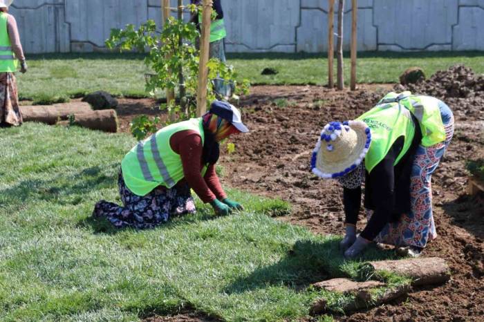 Solaklar Köprülü Kavşağı’na Kadın Eli Değdi