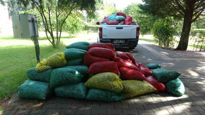 Çanakkale’de 3 Ton Kum Şırlanı Ele Geçirildi