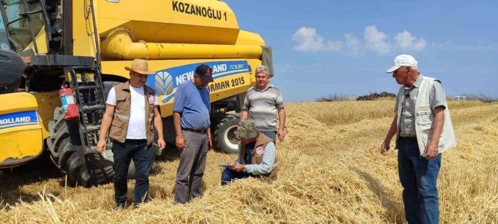 Yüzde 75 Hibe Destekli Arpa Hasadı Başladı