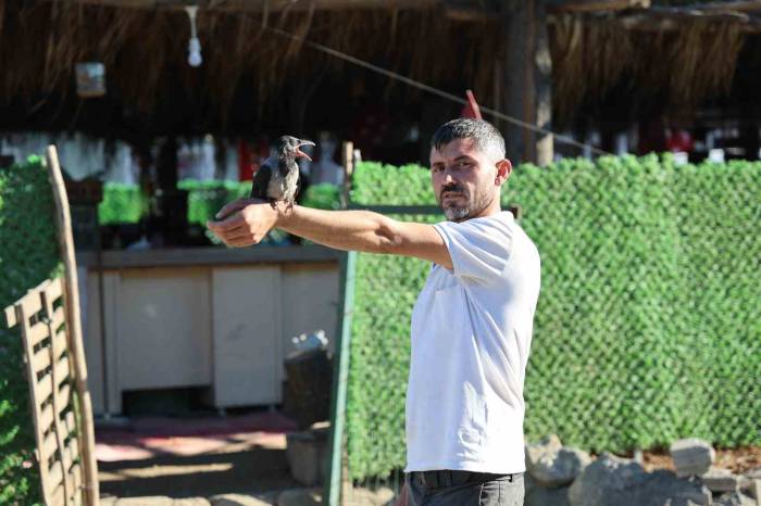 Yavru Karga Enkaz Bölgesinin Maskotu Oldu